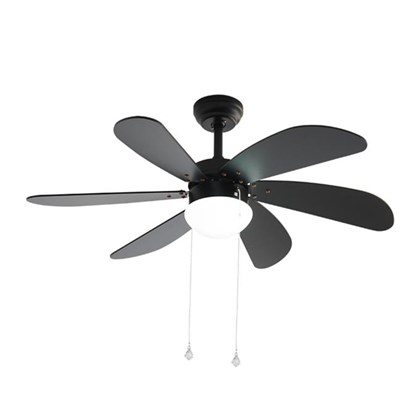 Ceiling Fans