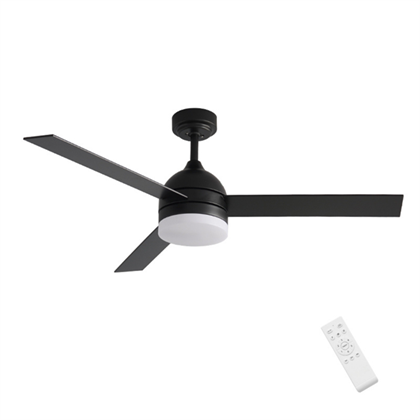 Ceiling Fans