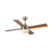 Ceiling Fans