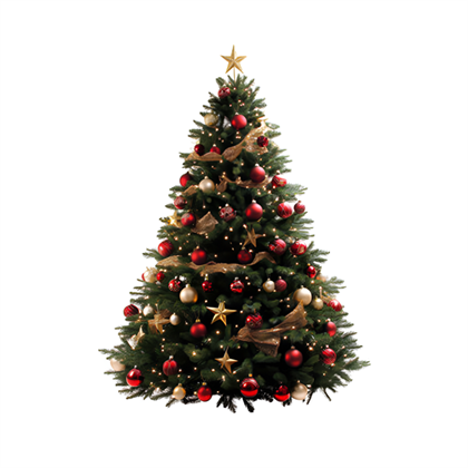 Christmas Trees & Decorations