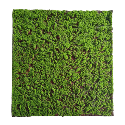 Artificial Moss Wall