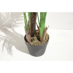 Green Palm Tree in Black Pot - H145cm