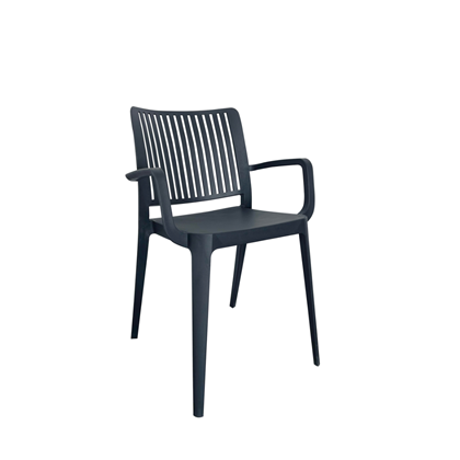 Chair Anthracite with Armrest