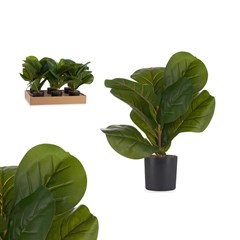 Artificial Plant – Black & Green