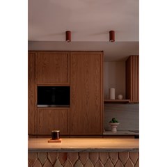 Ceiling Lamp Terracotta Color