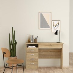 Oak Function Plus desk with 5 Drawers