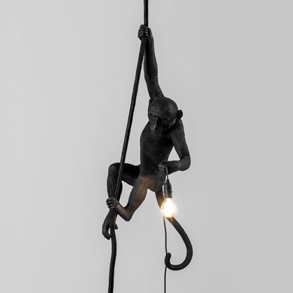 Monkey Lamp Black Outdoor Hanging