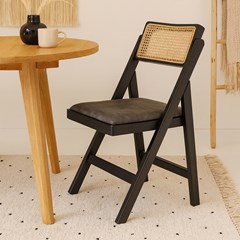 Dinning Chair Anthracite