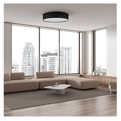 Rondo Black Ceiling Lam