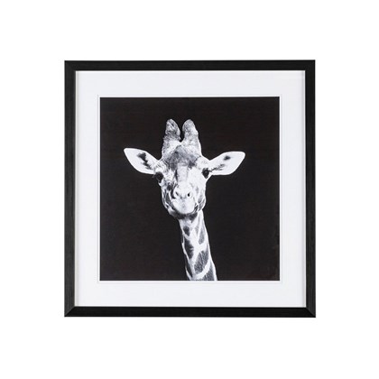 B&W Giraffe Painting 49x49