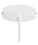 White Ceiling Rose With One Entry