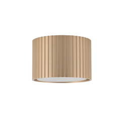 Downlight – Champagne