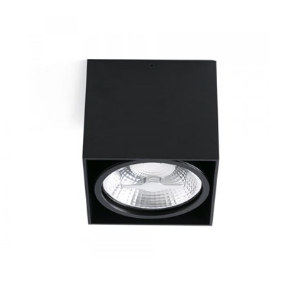 Tecto-1 Black Ceiling Lamp AR111