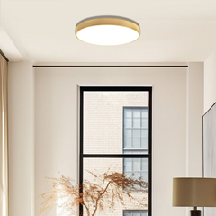 LED ceiling lighting fixture