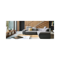 2-Seat Sofa – Adjustable Armrest & Headrest, Dark Grey