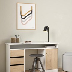 Function Plus Desk 1 door & 3drawers