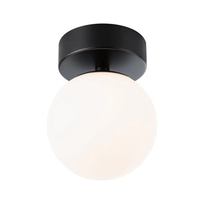 Wall Ceiling Light Gove