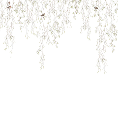 Mural Wallpaper Spring Birds