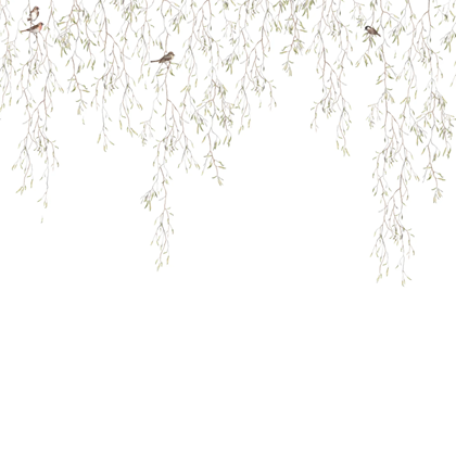 Mural Wallpaper Spring Birds