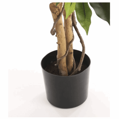 Ficus  Artificial Plant