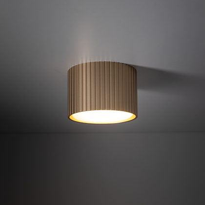 Downlight – Champagne