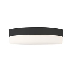 Ceiling Light - Black White
