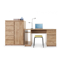 Desk 1 Door 1 Shelf – Ribbeck Oak Gold