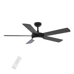 Black Ceiling Fan with Light