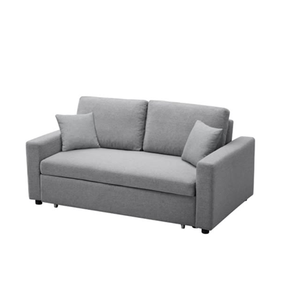 Sofa 2-Seater with Pull Out Bed Anthracite