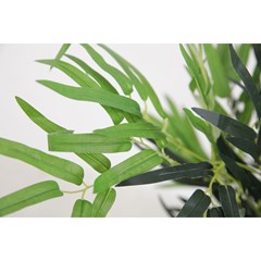 Bamboo Green in Black Pot - H90cm