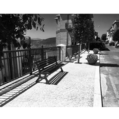 Bench with Pinewood Planks