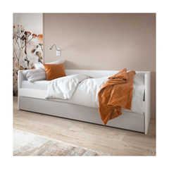 Bed 90 1S – White Alpin Billbergia