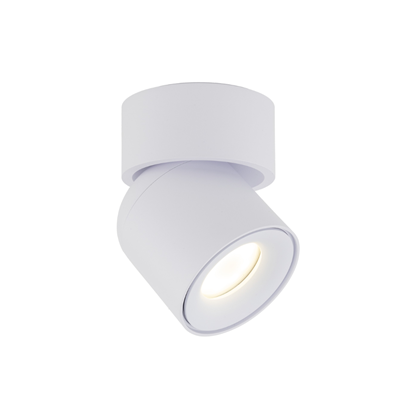 Lamp with Adjustable Swivel White GU10 IP65