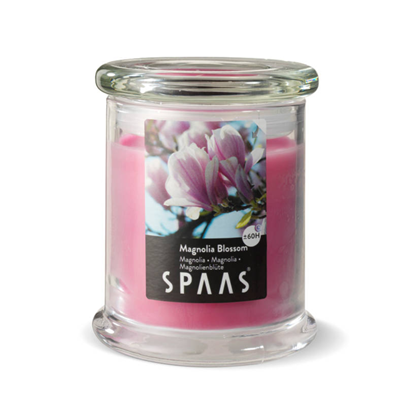 Household Glass Jar Magnolia Blossom