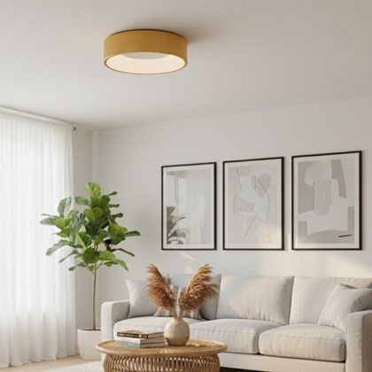 Ceiling Lamp – Aluminium & PC Gold
