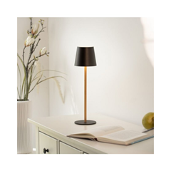 Euria Table Lamp – Black & Gold