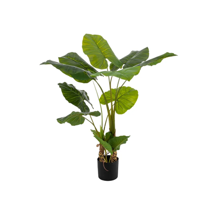 Plant Philodendro Artificial