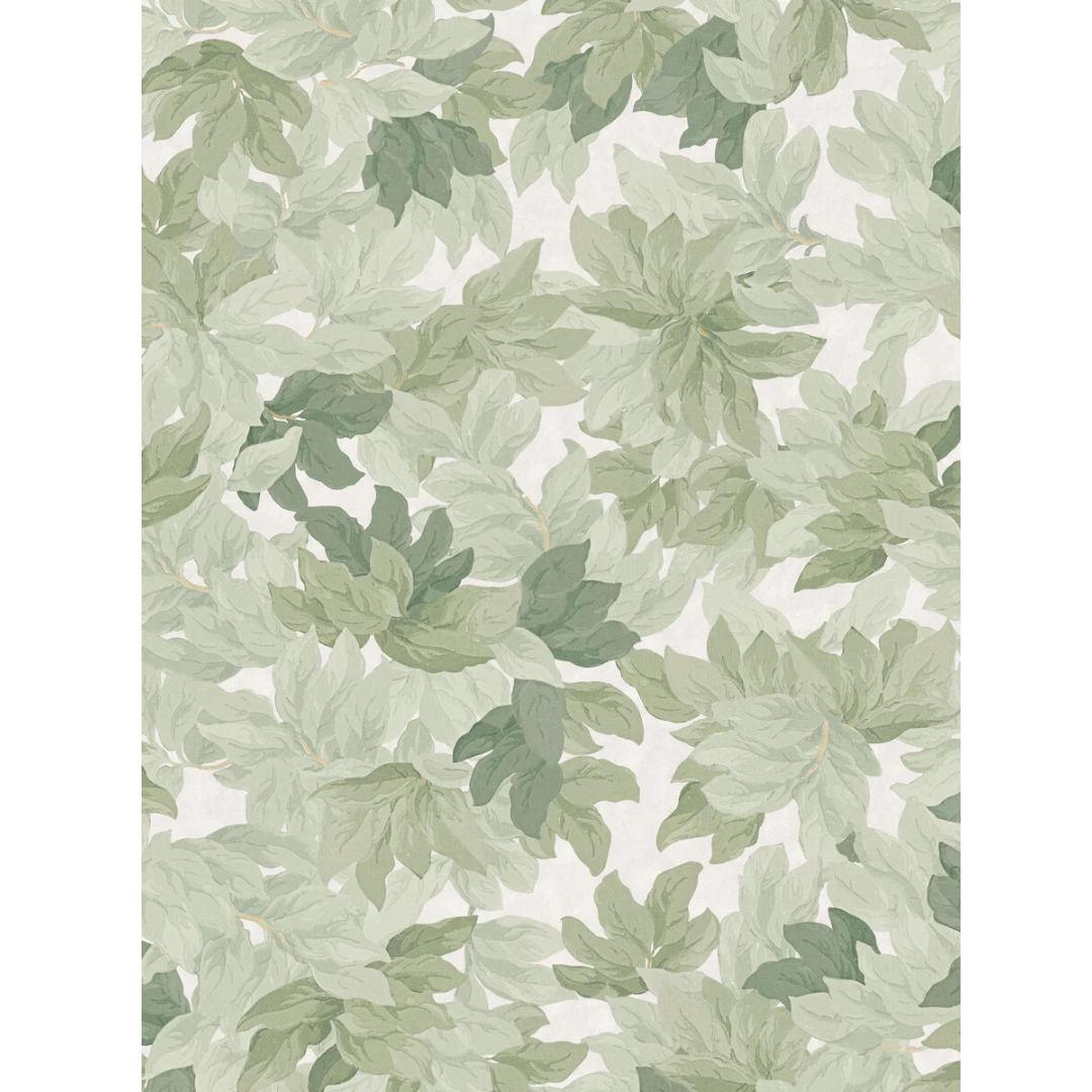 Mural Wallpaper Tree Canopy - Walls and Ceilings