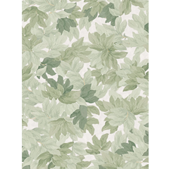 Mural Wallpaper Tree Canopy - Walls and Ceilings