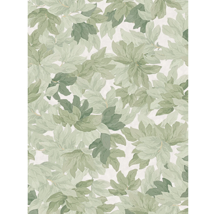 Mural Wallpaper Tree Canopy - Walls and Ceilings