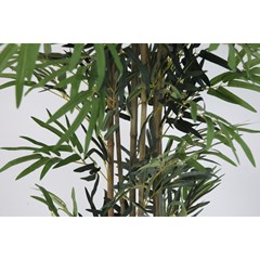 Bamboo Green in Black Pot - H150cm