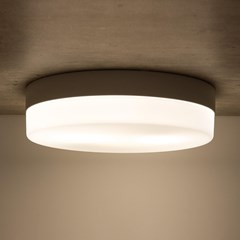 Ceiling Light - Black White