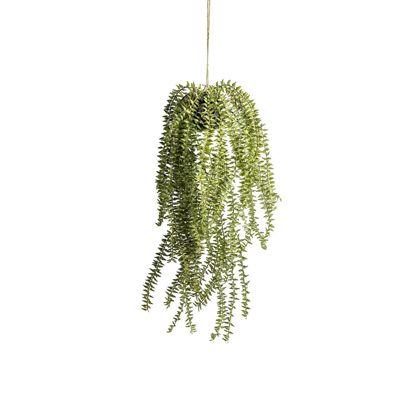 Hanging Cactus Horsetail 200 x 200 x 580mm