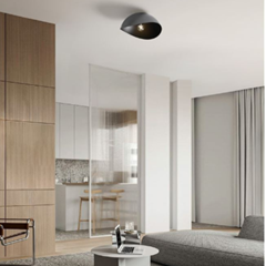 Ceiling Light Sandy Black E27 Max 60W