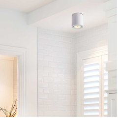 Dow Light for Surface White