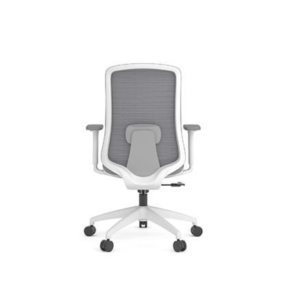 Office Chair Ergonomic Lumbar Support