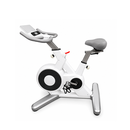 White Exercise Bike