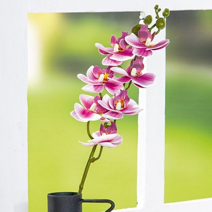 Sophie Artificial Orchid 63cm