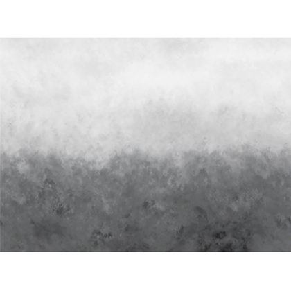 Mural Wallpaper Gradient Painting Dark Grey