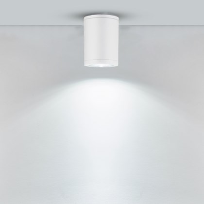 Plastic Celling Lamp GU10 E27 IP54 12W White